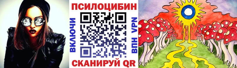 Галлюциногенные грибы ЛСД  ссылка на мегу маркетплейс  Пенза 